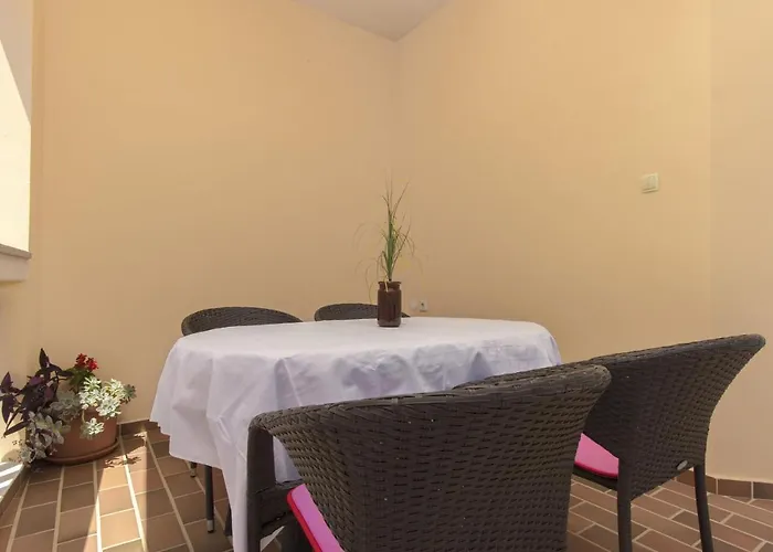Apartments Konta City Center